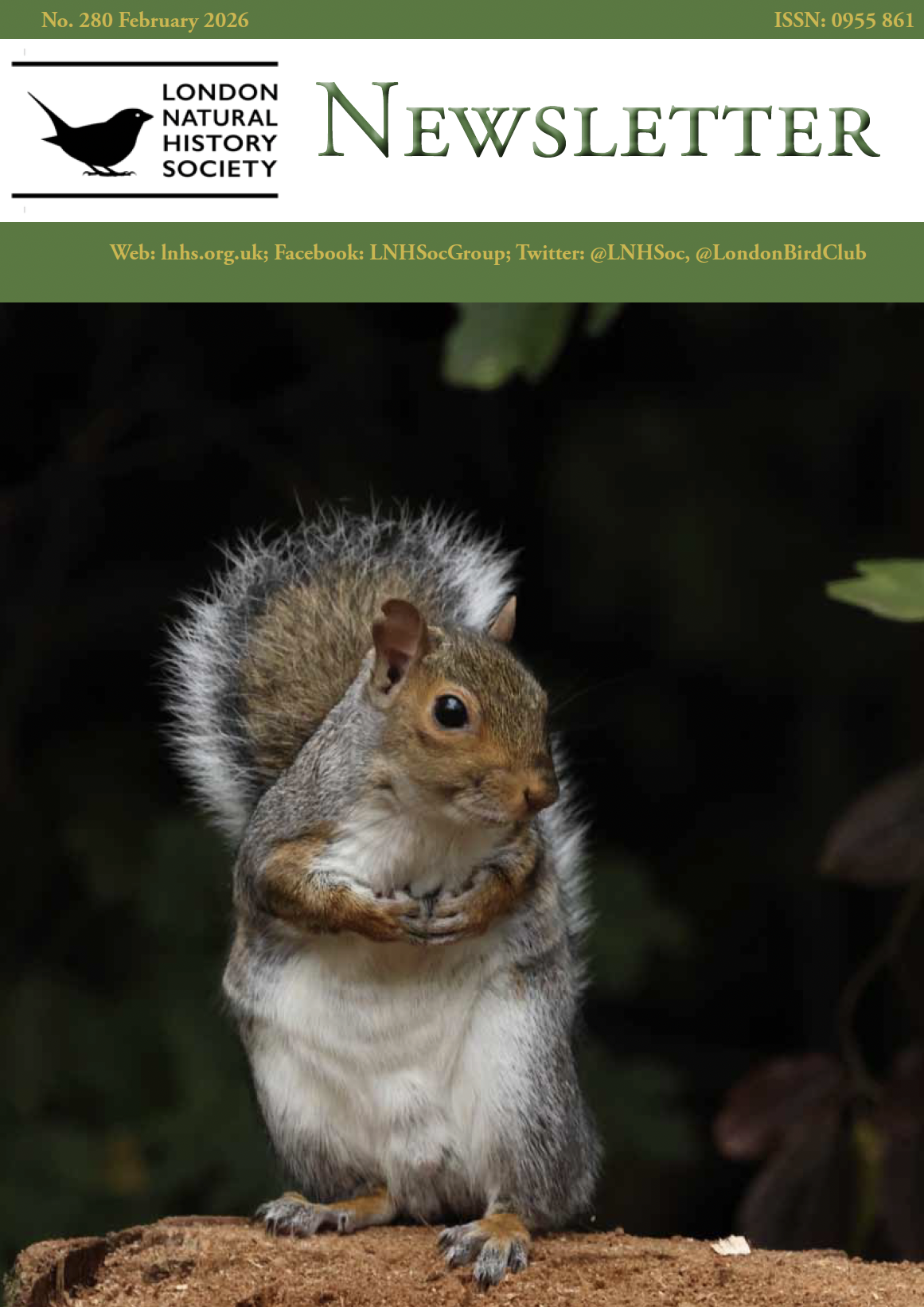 Newsletter Feb2026 front