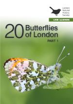 20 Butterflies in London Part 1