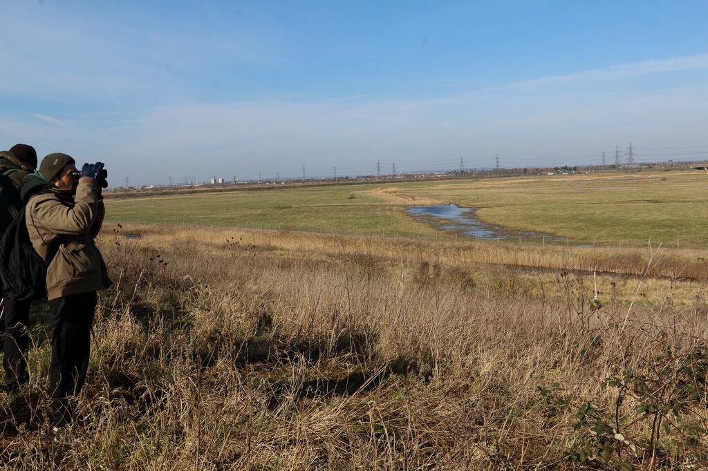 2018 02 24 Rainham IMG 6904 c Gehan de Silva Wijeyeratne