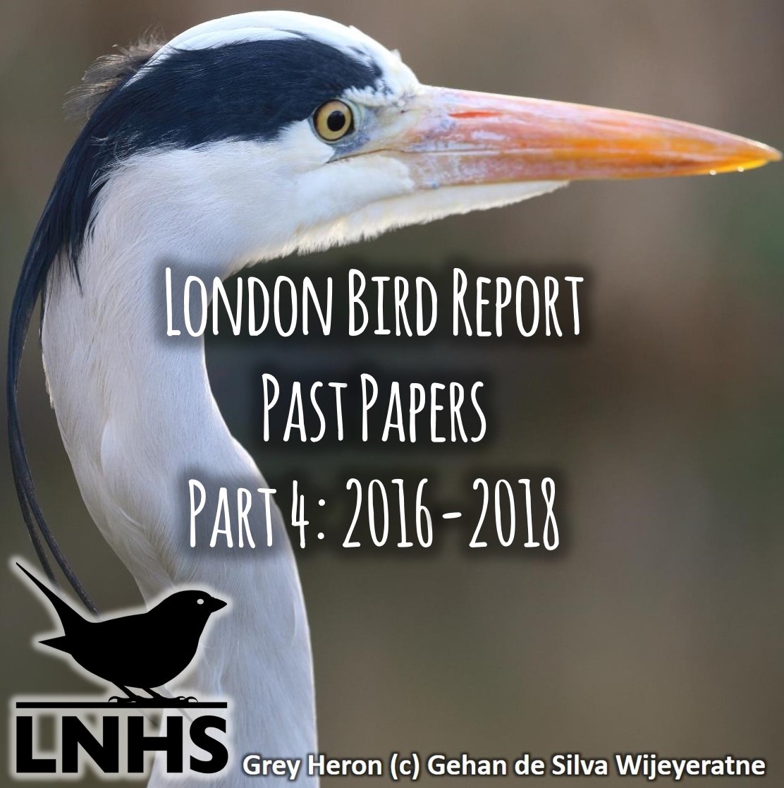 LBR Past Papers Part 4