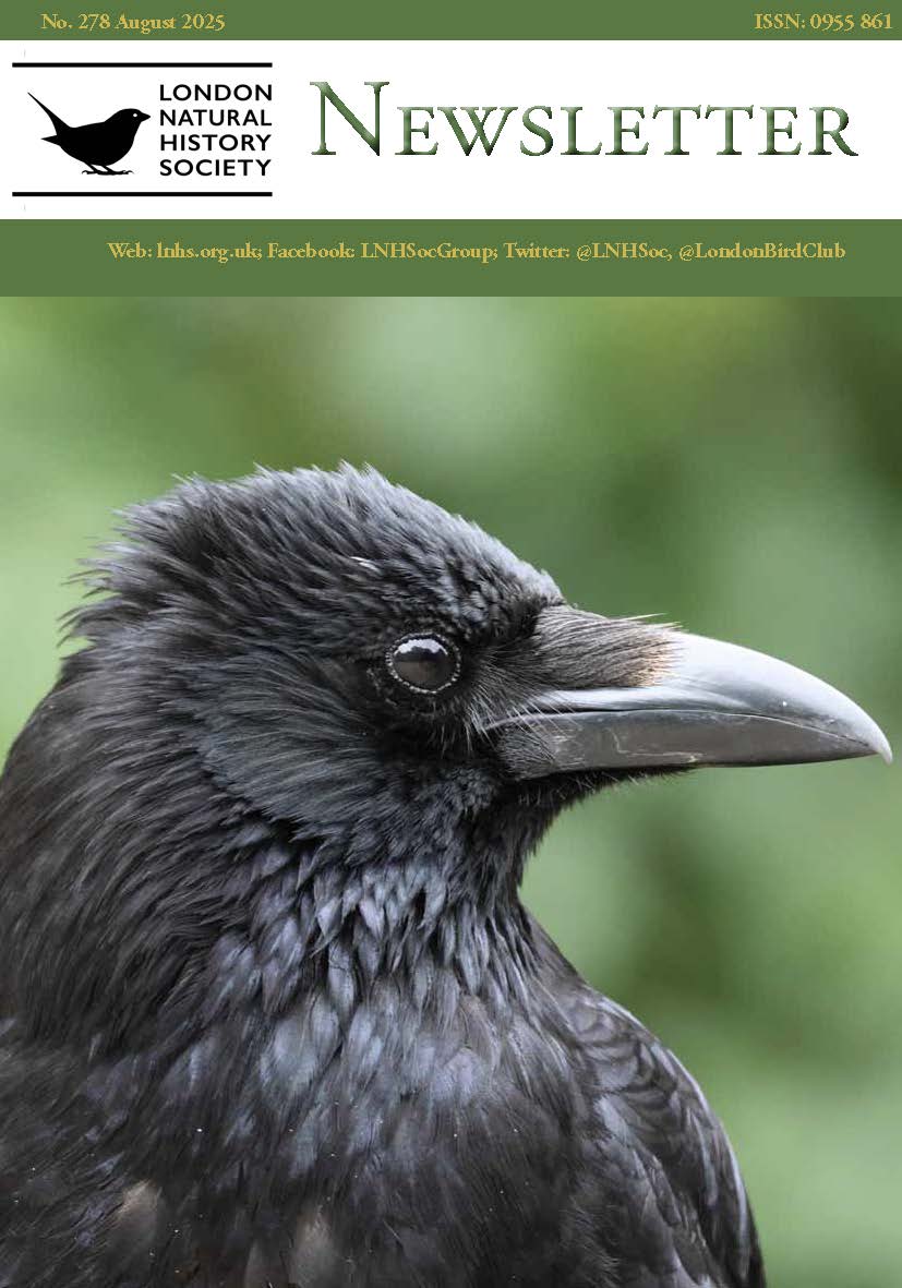 LNHS newsletter August 2025 cover